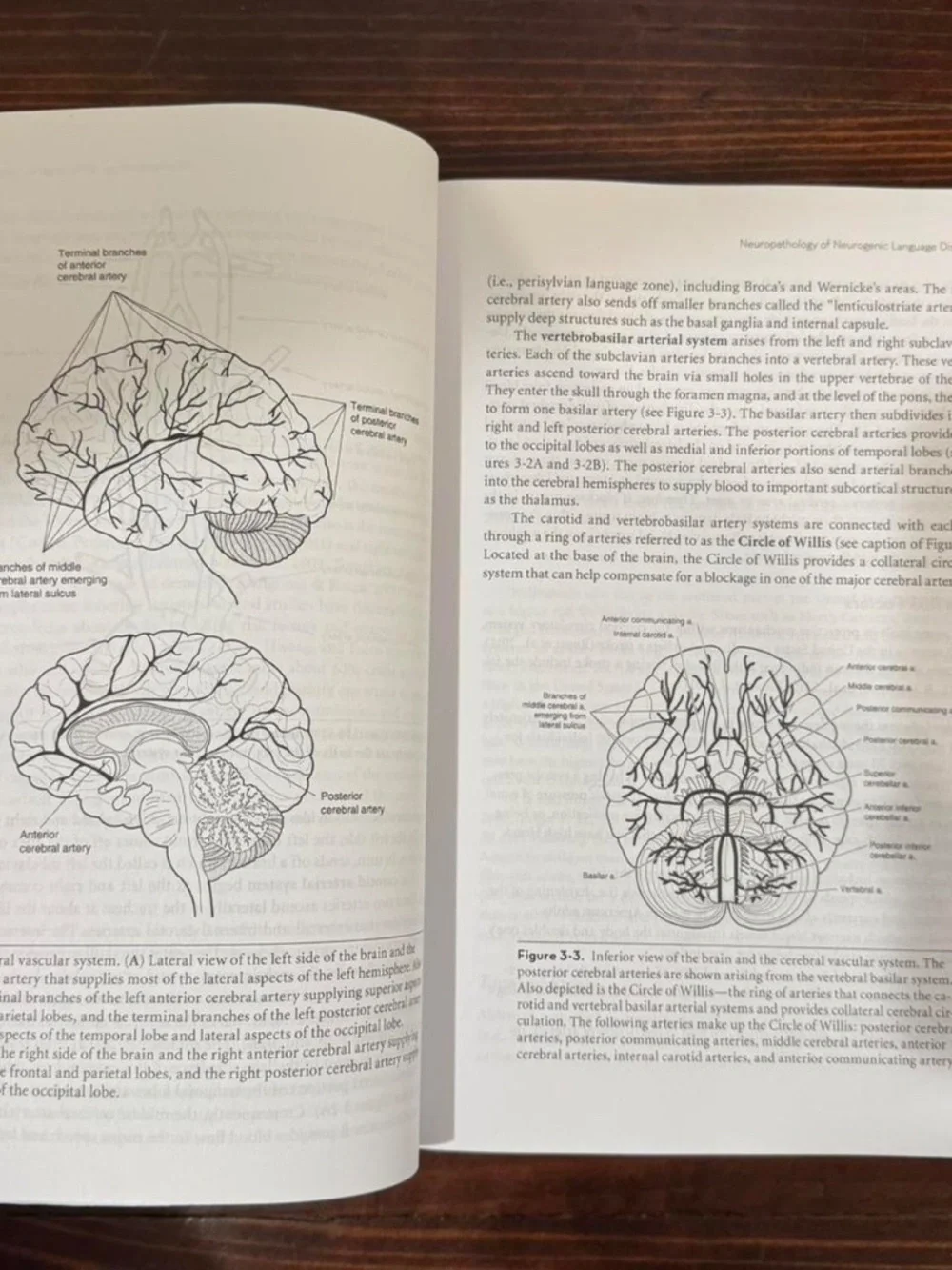 Neurogenic Disorders of Language and Cognition: Evidence-based Clinical Practice - Picture 3 of 5